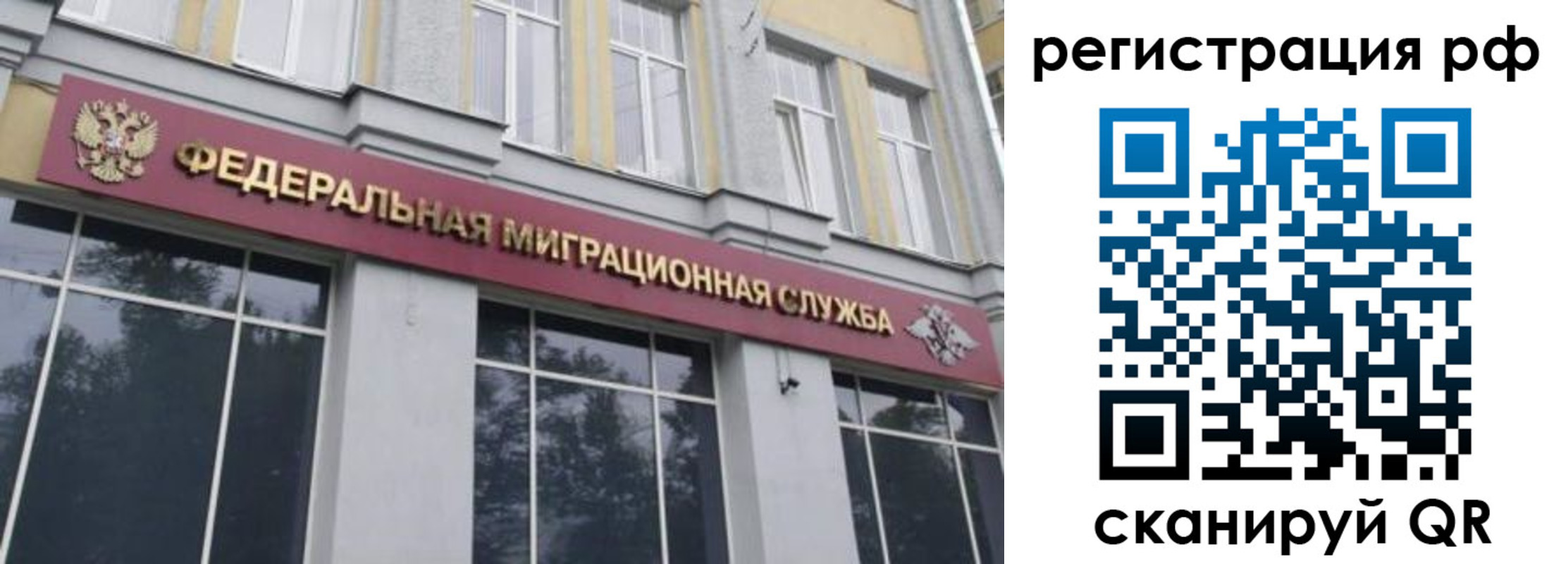 прописка законно в Далматово